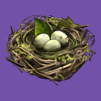 Bird Nest With Eggs Premium Sweatshirt | Teevron