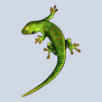 Green Lizard Illustrations Premium Sweatshirt | Teevron