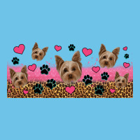 Yorkie Dogs Premium Sweatshirt | Teevron