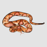 Copperhead Snake Illustrations Premium Sweatshirt | Teevron