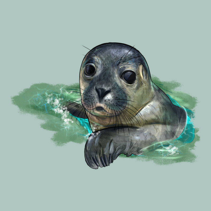 Sea Seal Face Illustrations Premium Sweatshirt by LillyAllenDesigns | Teevron
