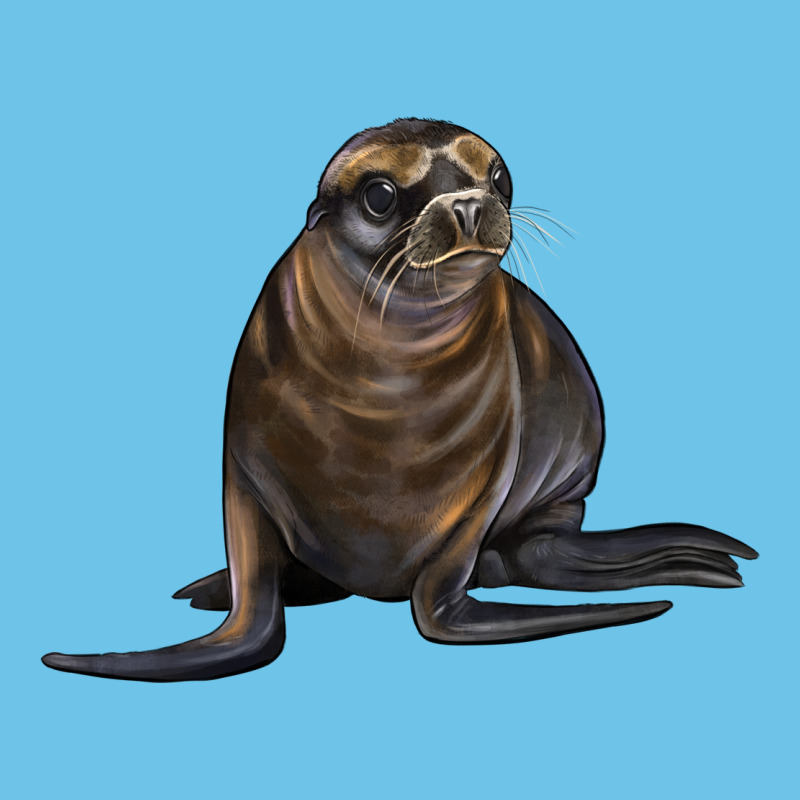 Sea Lion Illustrations Premium Sweatshirt by LillyAllenDesigns | Teevron