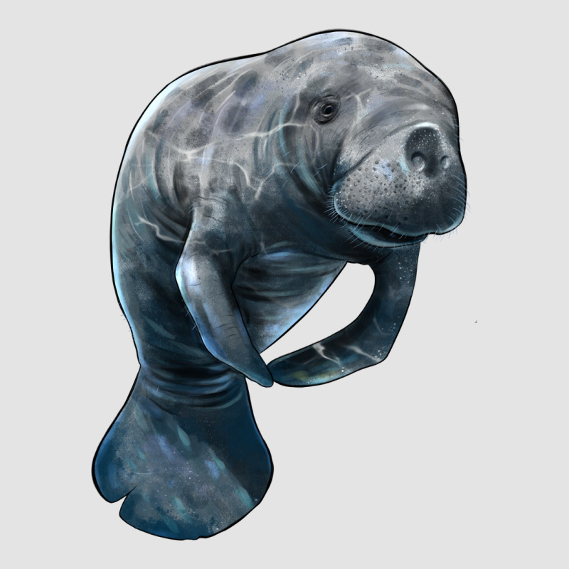 Manatee Illustrations Premium Sweatshirt by LillyAllenDesigns | Teevron