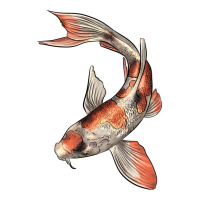 Koi Fish Premium Sweatshirt | Teevron