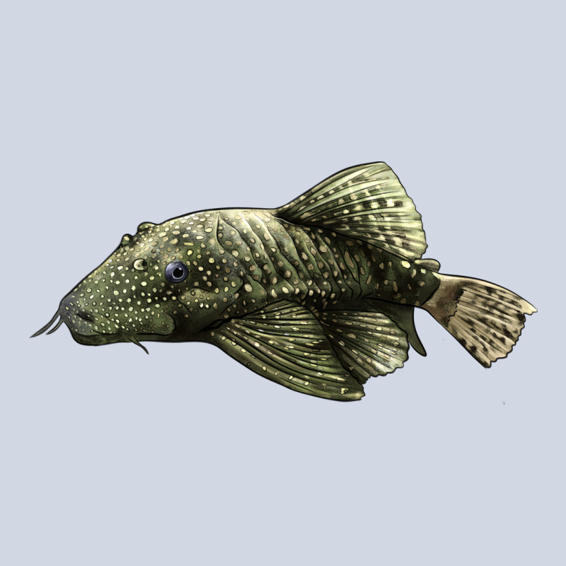 Bristlenose Placo Premium Sweatshirt by LillyAllenDesigns | Teevron