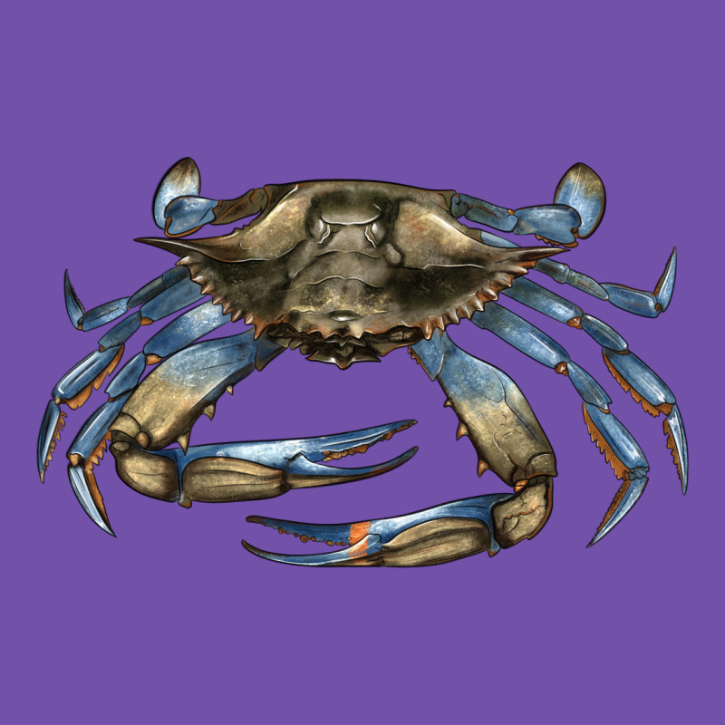 Crab Premium Sweatshirt by LillyAllenDesigns | Teevron