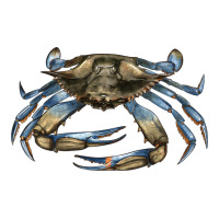 Crab | Teevron