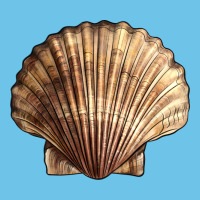 Japanese Scallop Shell Premium Sweatshirt | Teevron