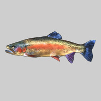 Rainbow Trout Premium Sweatshirt | Teevron