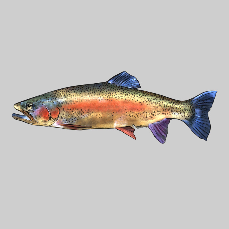 Rainbow Trout Premium Sweatshirt by LillyAllenDesigns | Teevron