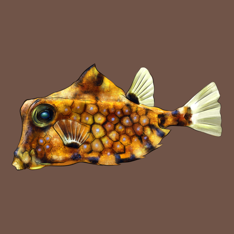 Humpback Turretfish Premium Sweatshirt by LillyAllenDesigns | Teevron