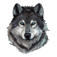 Wolf | Teevron