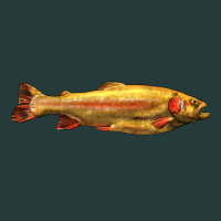 Golden Trout West Virginia Premium Sweatshirt | Teevron