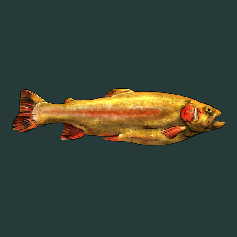 Golden Trout West Virginia Premium Sweatshirt by LillyAllenDesigns | Teevron