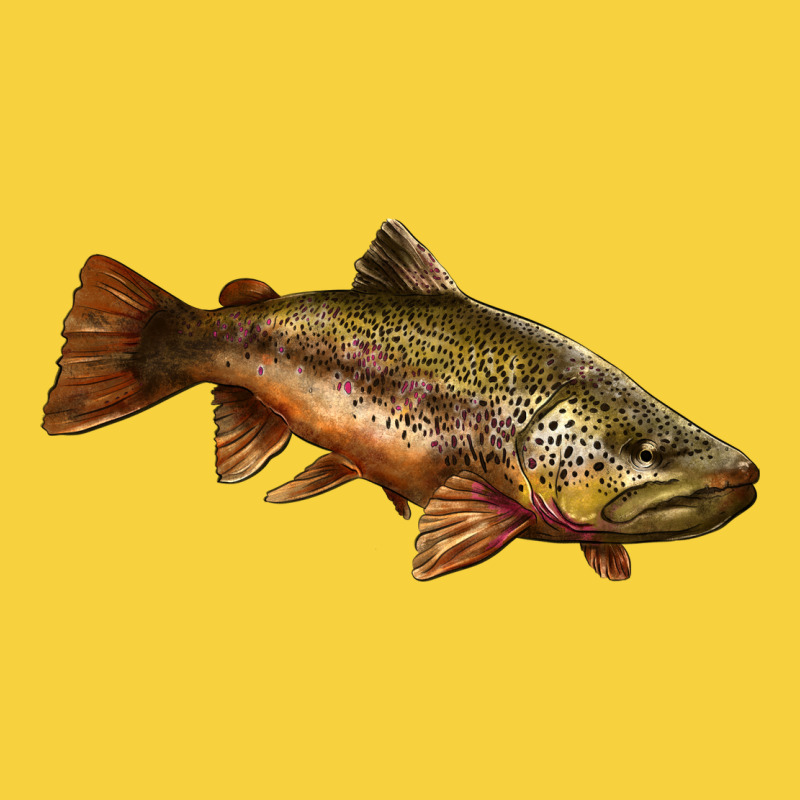 Brown Trout Premium Sweatshirt by LillyAllenDesigns | Teevron