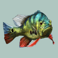 Peacock Bass Illustrations Premium Sweatshirt | Teevron