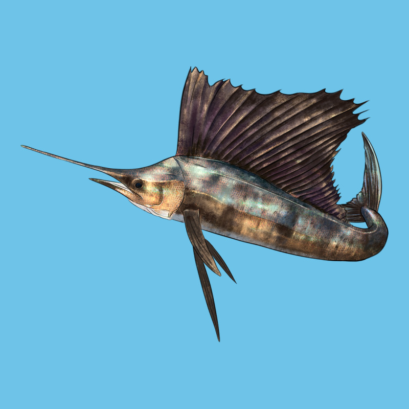 Atlantic Sailfish Illustrations Premium Sweatshirt by LillyAllenDesigns | Teevron