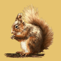 Squirrels Premium Sweatshirt | Teevron