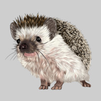 Hedgehog Illustrations Premium Sweatshirt | Teevron