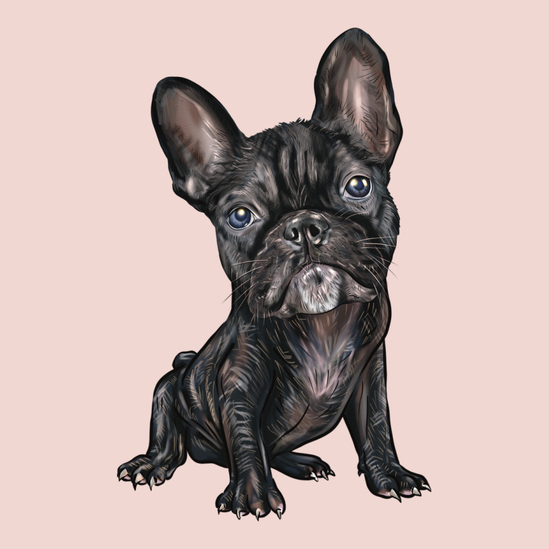 French Bulldog Premium Sweatshirt by BarkalooDesign | Teevron