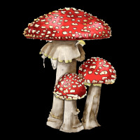 Autumn Mushroom Illustrations Premium Sweatshirt | Teevron