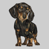 Dachshund Premium Sweatshirt | Teevron