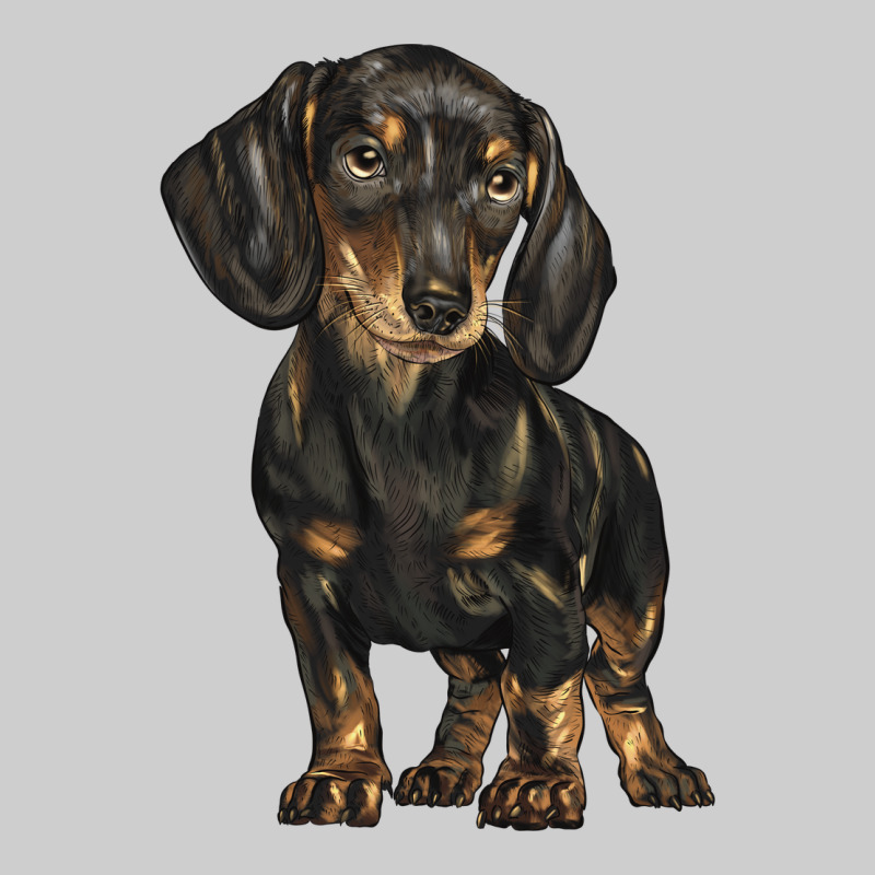 Dachshund Premium Sweatshirt by BarkalooDesign | Teevron