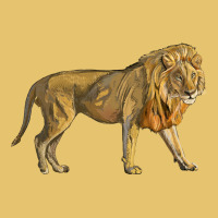 Lion Premium Sweatshirt | Teevron