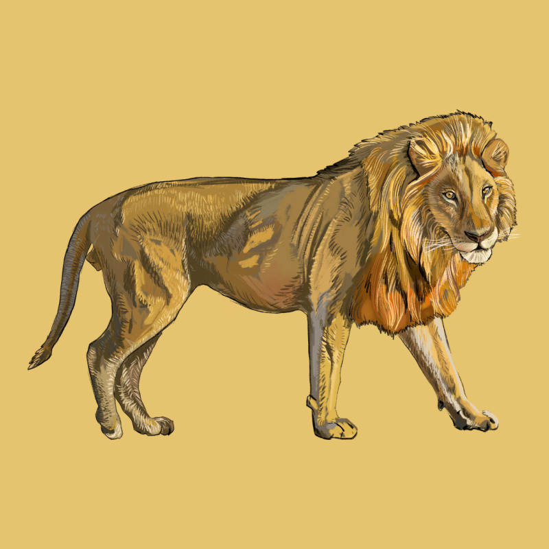 Lion Premium Sweatshirt by LillyAllenDesigns | Teevron