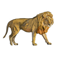 lion | Teevron