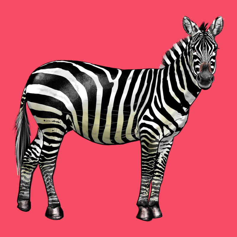 Zebra Premium Sweatshirt by LillyAllenDesigns | Teevron