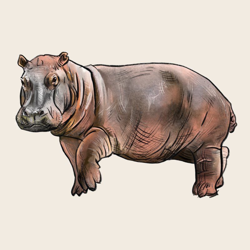 Hippopotamus Premium Sweatshirt by LillyAllenDesigns | Teevron