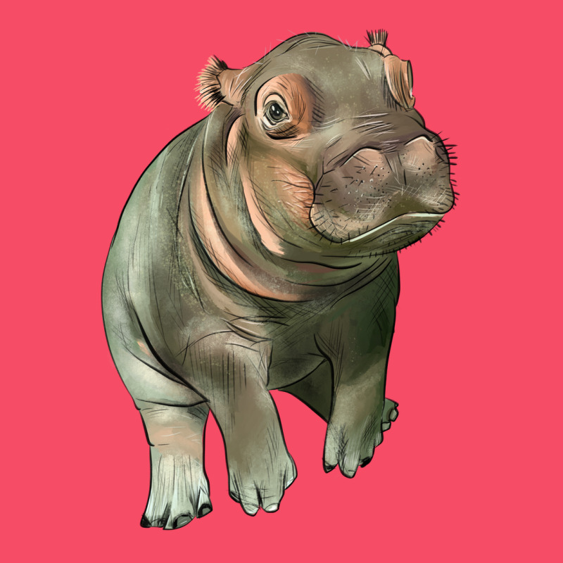 Baby Hippo Premium Sweatshirt by LillyAllenDesigns | Teevron