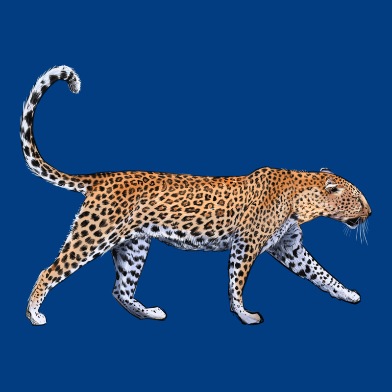 Leopard Premium Sweatshirt by LillyAllenDesigns | Teevron