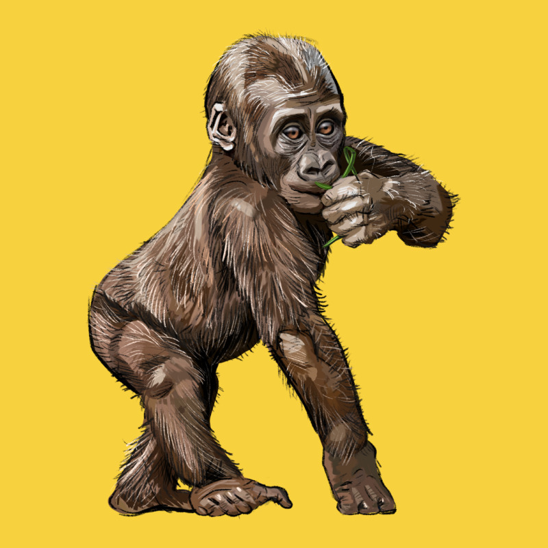 Baby Gorilla Premium Sweatshirt by LillyAllenDesigns | Teevron