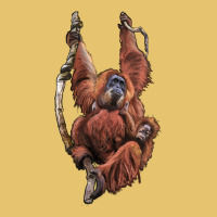 Orangutan And Baby Premium Sweatshirt | Teevron