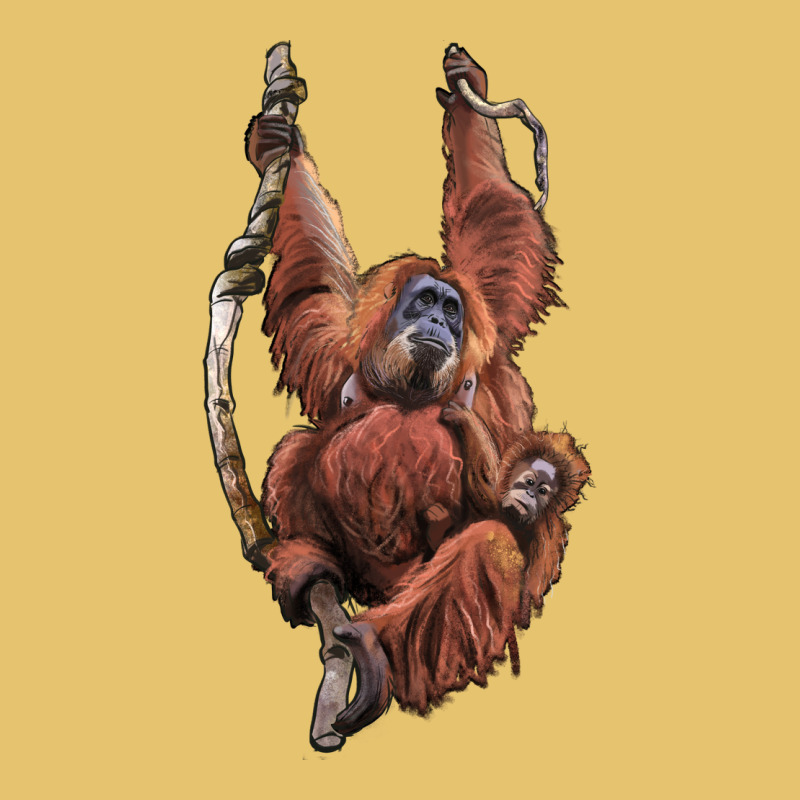 Orangutan And Baby Premium Sweatshirt by LillyAllenDesigns | Teevron