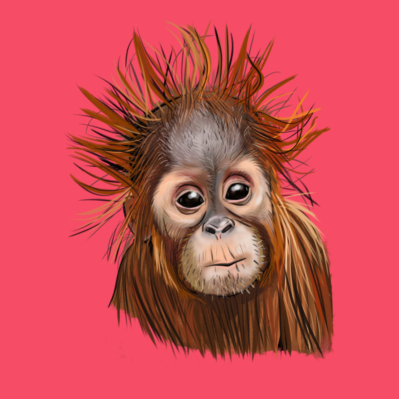 Baby Orangutan Premium Sweatshirt by LillyAllenDesigns | Teevron