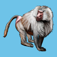 Baboon Premium Sweatshirt | Teevron