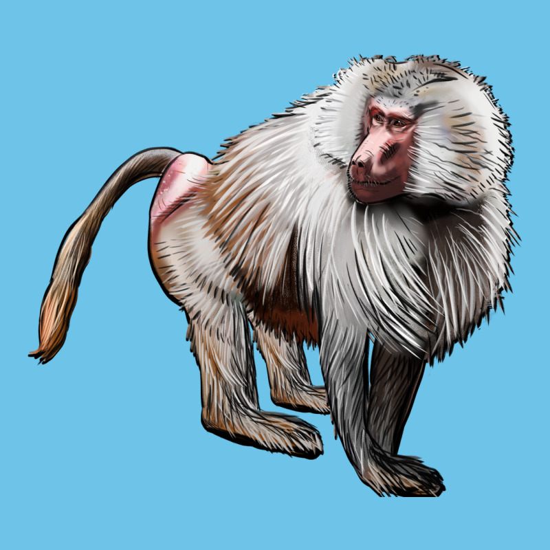 Baboon Premium Sweatshirt by LillyAllenDesigns | Teevron