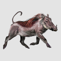 Warthog Illustrations Premium Sweatshirt | Teevron