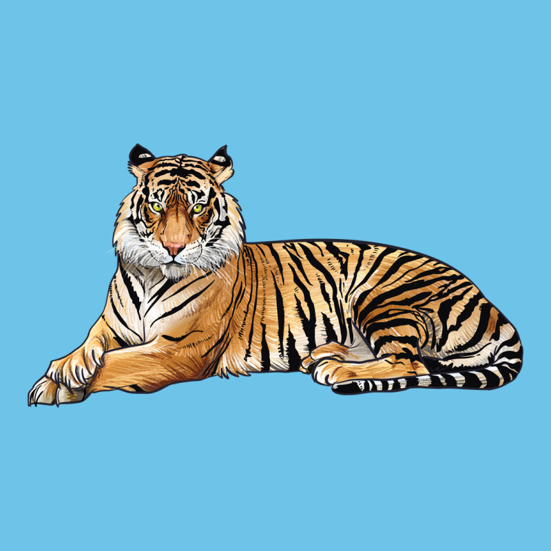 Tiger Premium Sweatshirt by LillyAllenDesigns | Teevron