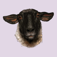 Suffolk Ewe Head Classic Tee | Teevron
