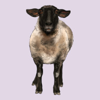 Suffolk Ewe Front Classic Tee | Teevron