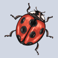 Ladybug Premium Sweatshirt | Teevron