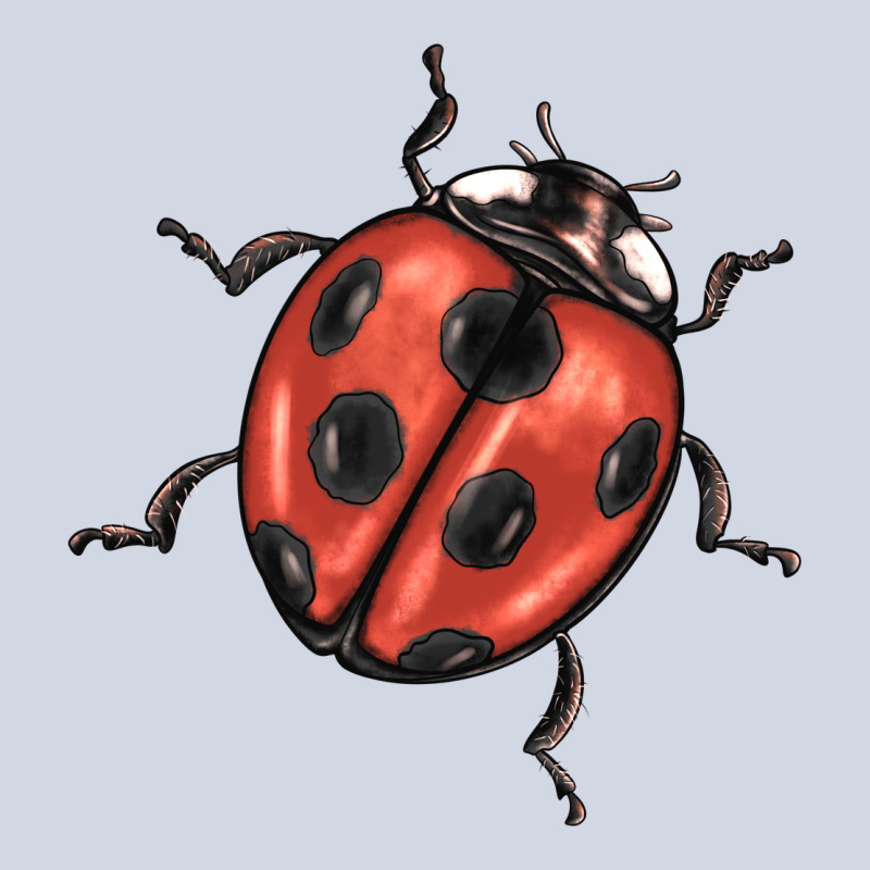 Ladybug Premium Sweatshirt by BarkalooDesign | Teevron