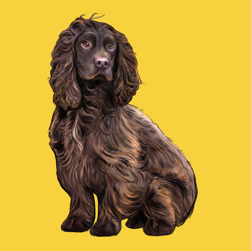 Boykin Spaniel Dog Premium Sweatshirt by LillyAllenDesigns | Teevron