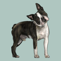 Boston Terrier Premium Sweatshirt | Teevron