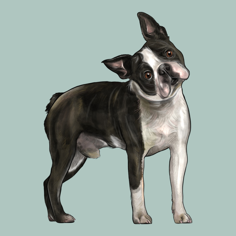 Boston Terrier Premium Sweatshirt by LillyAllenDesigns | Teevron