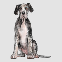 Great Dane Dog Premium Sweatshirt | Teevron